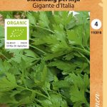 Silopersilja 'Gigante d'Italia' Luomu