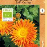 Kehäkukka 'Ball's Orange' Luomu