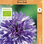 Ruiskaunokki 'Blue Ball' Luomu