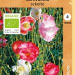 Silkkiunikko sekoite Luomu