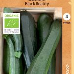 Kesäkurpitsa 'Black Beauty' luomu