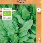 Pinaatti 'Viroflex' Luomu