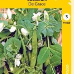 Sokeriherne 'De Grace'