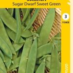 Sokeriherne 'Sugar Dwarf Sweet Green'