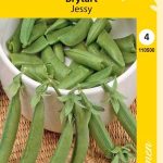 Taittoydinherne 'Jessy'