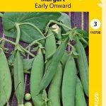 Silpoydinherne 'Early Onward'