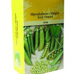 SILPOYDINHERNE Early Onward 250 g rasia