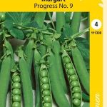Märgärt 'Progress No. 9'