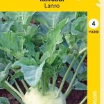 Kyssäkaali 'Lanro'