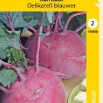 Kyssäkaali 'Delikateß blauwer'