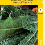 Lehtikaali 'Nero di Toscana'