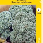 Parsakaali 'Ramoso Calabrese'