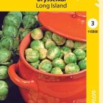 Ruusukaali 'Long Island'