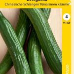 Kasvihuonekurkku 'Kiinalainen käärme/Chinesische Schlangen'
