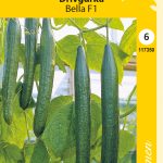 Kasvihuonekurkku 'Bella' F1 partenokarppinen