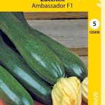 Kesäkurpitsa 'Ambassador' F1