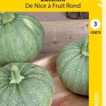 Kesäkurpitsa 'De Nice à Fruit Rond'