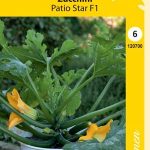 Kesäkurpitsa 'Patio Star' F1