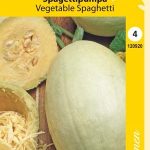 Spagettikurpitsa 'Vegetable Spaghetti'