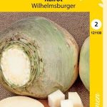 Lanttu 'Wilhelmsburger'