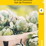 Latva-artisokka 'Vert de Provence'