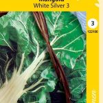 Mangoldi 'White Silver 3'