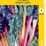 Mangoldi 'Bright Lights'