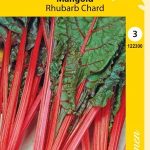 Mangoldi 'Rhubarb Chard'