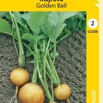 Nauris 'Golden Ball'