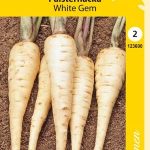 Palsternakka 'White Gem'