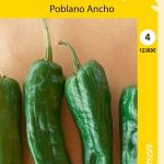 Chilipaprika 'Poblano Ancho'