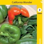 Paprika 'California Wonder'
