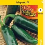 Chilipaprika 'Jalapeño M'
