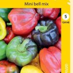 Paprika 'Mini Bell Mix'