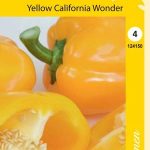 Paprika 'Yellow California Wonder'