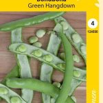 Härkäpapu 'Green Hangdown'