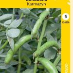 Härkäpapu 'Karmazyn'