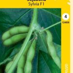 Soijapapu 'Sylvia' F1