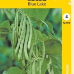 Salkopapu 'Blue Lake'