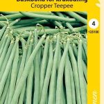 Ruukkupapu 'Cropper Teepee'