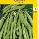 Pensaspapu 'Processor'