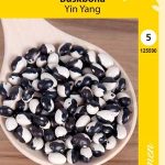 Pensaspapu 'Yin Yang'