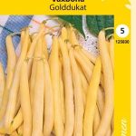 Vahapapu 'Golddukat'