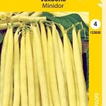 Vahapapu 'Minidor'