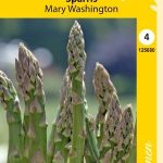 Parsa 'Mary Washington'