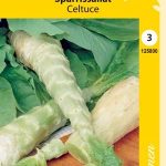 Parsasalaatti 'Celtuce'