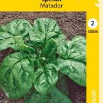 Pinaatti 'Matador'
