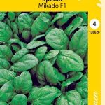 Pinaatti 'Mikado' F1