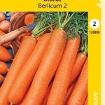 Porkkana 'Berlicum 2'