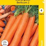 Porkkana 'Berlicum 2' pilleröity